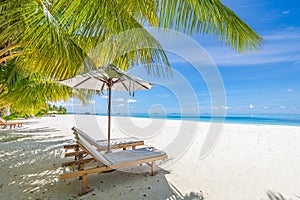 Summer couple destination scenic beach beds chairs umbrella palms. Love romantic travel landscape