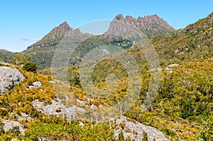 Summer in Cradle Mountain - Tasmania