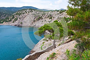 Summer Crimean landscape photo