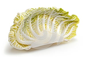 Summer Crisp Lettuce (Batavia) isolated on white background. Fresh green salad leaves from garden