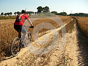 Summer cycling