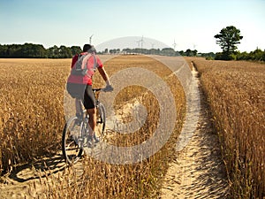 Summer cycling