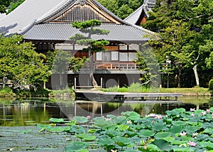 Summer in Daikakuji temple, Sagano Kyoto Japan.