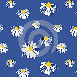 Summer daisy background Blue seamless pattern spring white meadow flowers ornament Template packaging Wallpaper chintz