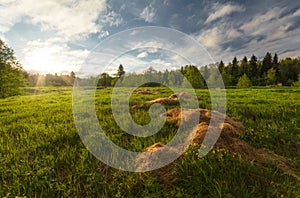 Summer dawn on the field. There are trees in the background. In the foreground scattered hay. Udmurtiya, Russia