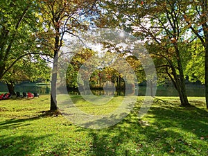 Summer Day Background Outside Green Trees and Grass