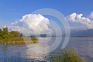 Summer day at the beautiful lake