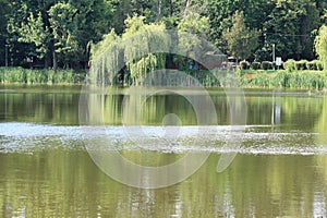 A summer day at Bucov Park, a beautiful park