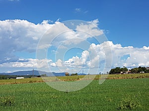 A summer day in country photo