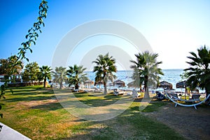 Sea landscape in Kassandra  in the summer photo