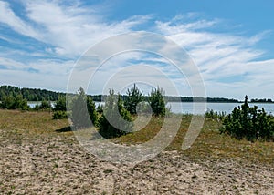 Summer day with the flowering shore of Saaremaa, sandy footpath in the sand dunes, Harilaid Nature Reserve, Estonia, Baltic Sea