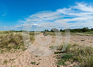 Summer day with the flowering shore of Saaremaa, sandy footpath in the sand dunes, Harilaid Nature Reserve, Estonia, Baltic Sea