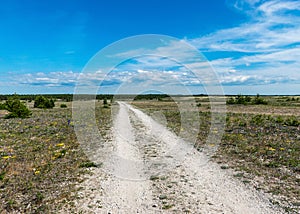 Summer day with the flowering shore of Saaremaa, sandy footpath in the sand dunes, Harilaid Nature Reserve, Estonia, Baltic Sea