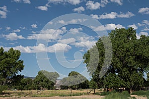 Summer day in the Grand Valley of Western Colorado