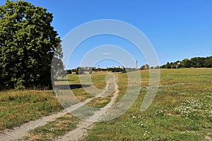 Summer day at GÃ¤rdet in Stockholm