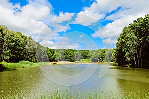 Summer day landscape with wooden pontoon bridge on a forest lake