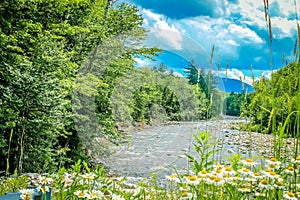 Summer day in the mountains