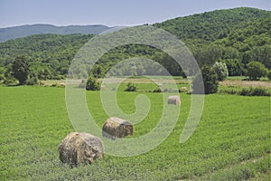 Summer day among nature and fields of Tuscany countryside