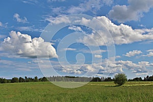 Summer day in Norrbotten