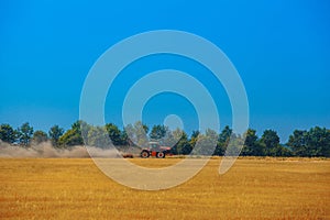 Summer day tractor pulls a plow on the sloping field of wheat.