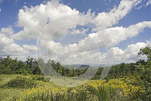 Summer day in Tuscany nature