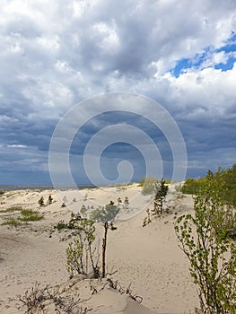 Summer day on Yagry island, White sea. Storm clouds over the White sea. Before the storm