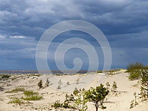 Summer day on Yagry island, White sea. Storm clouds over the White sea. Before the storm