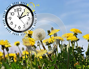 Summer Daylight Saving Time DST. Blue sky with yellow dandelions. Turn time forward +1h