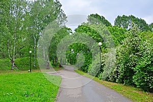 Summer in Dendrology garden in Pereslavl-Zalessky city