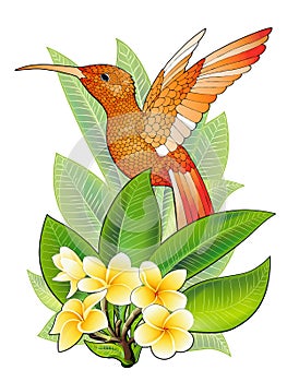 Summer design for advertising with hummingbird, tropical leaves and flowers