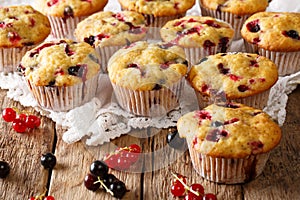 Summer dessert: muffins with a berry mix of currants close-up. h