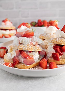 Summer dessert with strawberry shortcakes. Baked traditional with short crust pastry