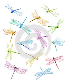 Summer Dragonfly. Flying Dragonflies. Watercolor illustration