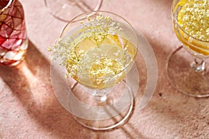 Summer drink - elder flower lemonade. Herbal medicine or foraging