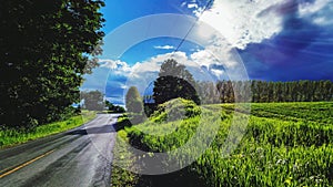 Summer drive on country road in Traverse City, Michigan photo