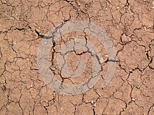 Summer drought soil