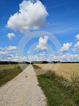 Summer empty country gravel road and clouds