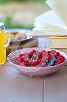 Summer Essentials in the Garden