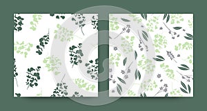 Summer Eucalyptus Pattern. Nature Foliage Texture. Tropical Fabric Design.