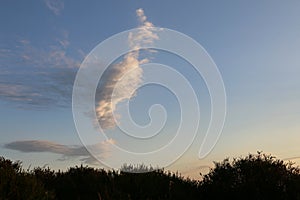 Summer evening cirrus clouds in a blue twilight sky over the Shropshire landscape, UK