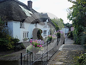 Summer evening in a Devon village UK