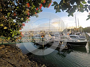 Summer evening at Doves Bay, Kerikeri marina in Bay of Islands,