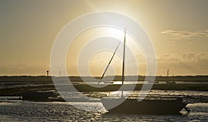 Summer evening landscape of leisure boats in harbor at low tide