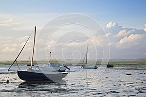 Summer evening landscape of leisure boats in harbor at low tide