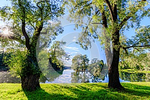 Summer evening in the Park with a lake. Summer landscape. nature of Russia. Well-maintained Park. Evening smoothness. The