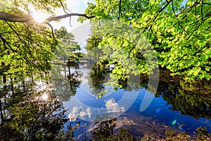 Summer evening in the Park with a lake. Summer landscape. nature of Russia. Well-maintained Park. Evening smoothness. The