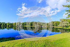 Summer evening in the Park with a lake. Summer landscape. nature of Russia. Well-maintained Park. Evening smoothness. The