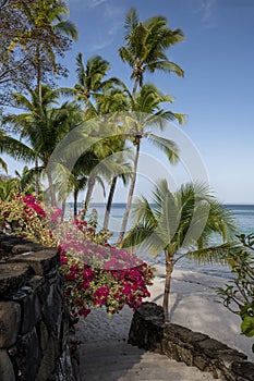 Summer evening by the sea shore in the pacific ocean. photo