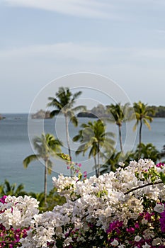 Summer evening by the sea shore in the pacific ocean. photo