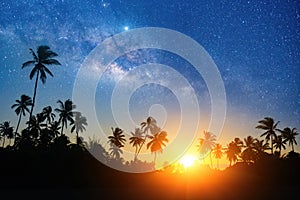 Summer evening starry sky background sunset over coconut trees silhouettes